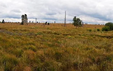 Le Reve Ardennais 公寓 *